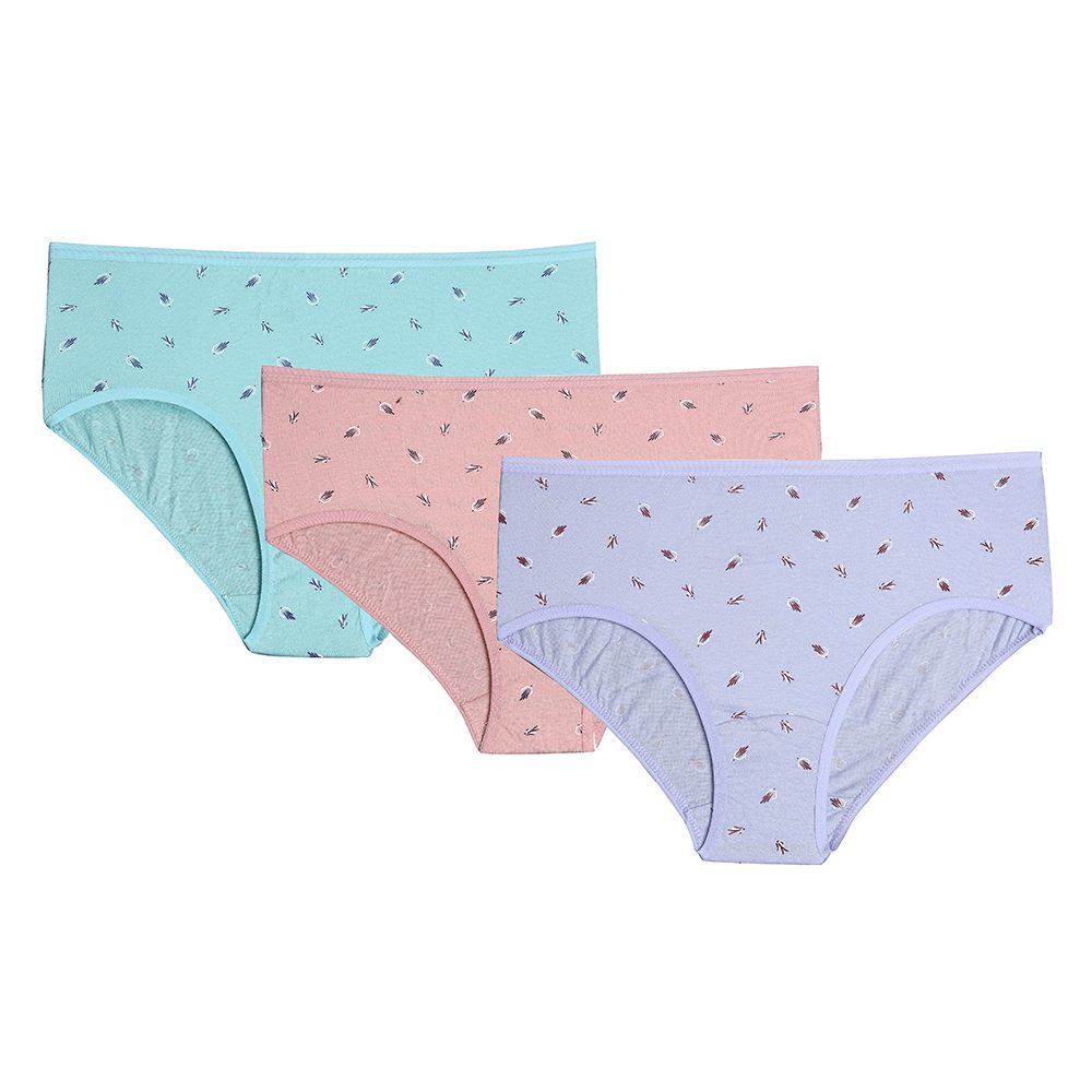 Buy BenchWomen Underwear Pack of 3 Cotton Knickers Ladies Mid Rise Briefs  Comfy Hipster Panties Online at desertcartKUWAIT