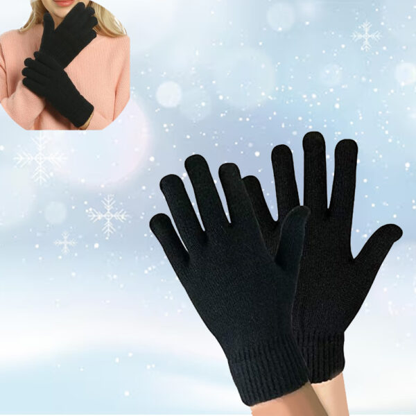 Winter Gloves for Everyday Use (WG1)