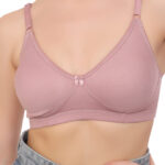 Daily Wear C- Cup T-Shirt Bra Non-Wired Non-Padded (zara)