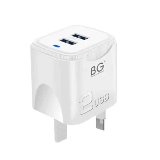 2 USB Charger